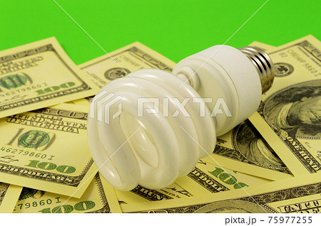 Energy Saving CFL Bulb 75977255