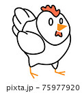 Outline chicken logo on white isolated backdrop 75977920