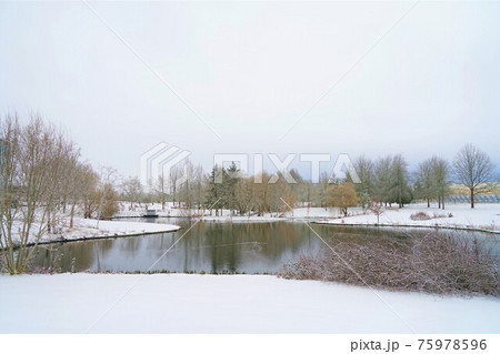 アメリカの公園の雪景色 75978596