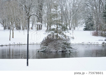 アメリカの公園の雪景色 75978601
