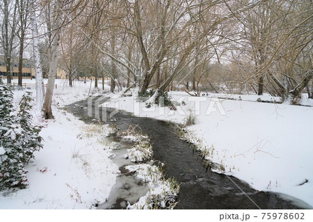 アメリカの公園の雪景色 75978602