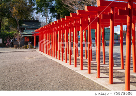箭弓稲荷神社 境内 宇迦之御魂神 鳥居 箭弓稲荷神社 境内 宇迦之御魂神 鳥居 75978606