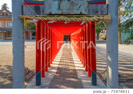 箭弓稲荷神社　境内　宇迦之御魂神　鳥居 75978631