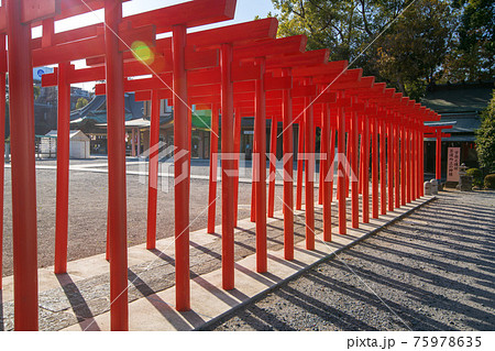 箭弓稲荷神社　境内　宇迦之御魂神　鳥居 75978635