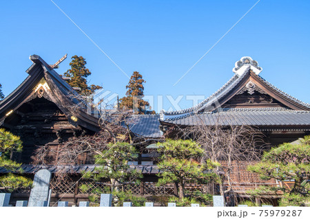 箭弓稲荷神社 境内 拝殿 本殿 箭弓稲荷神社 境内 拝殿 本殿 75979287