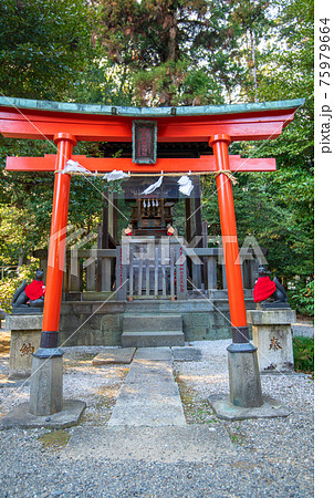 箭弓稲荷神社　境内　元宮 75979664