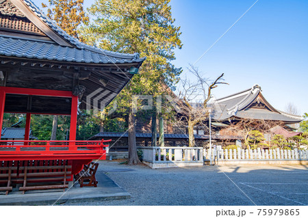 箭弓稲荷神社　境内 75979865