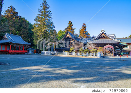箭弓稲荷神社 境内 箭弓稲荷神社 境内 75979866