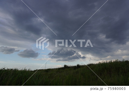 立ち込める夏の黒い雲 立ち込める夏の黒い雲 75980003