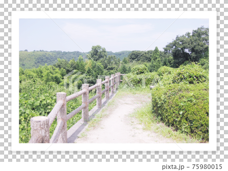 膠片攝影橋 膠片攝影橋 75980015