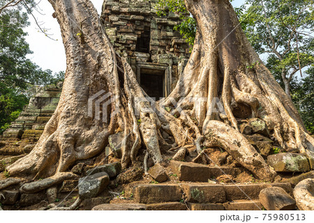 Preah Palilay temple in Angkor Wat Preah Palilay temple in Angkor Wat 75980513