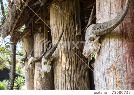 Baan Dam Museum  in Chiang Rai 75980735