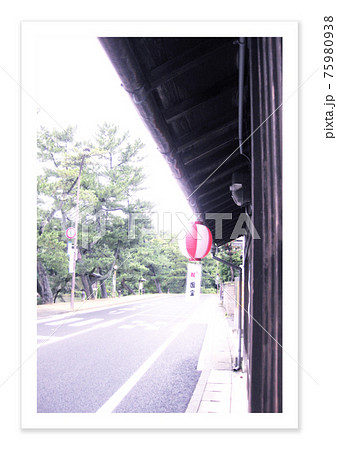 フィルム写真　松江城周辺 75980938