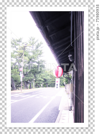 フィルム写真　松江城周辺 75980938