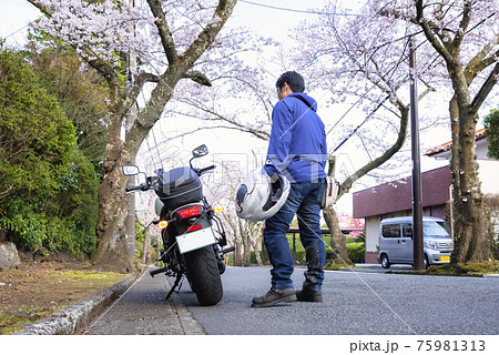 桜の木のトンネルのバイクツーリング 静岡県伊東市八幡野 桜の木のトンネルのバイクツーリング 静岡県伊東市八幡野 75981313