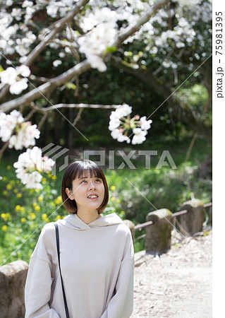 花見をしている女性 花見をしている女性 75981395