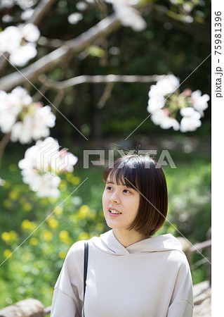 花見をしている女性 花見をしている女性 75981396
