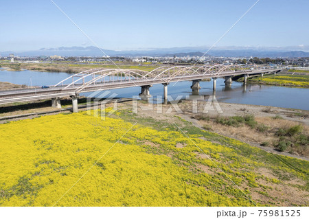 春の刀水橋 75981525