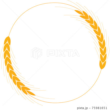 黄金の麦の丸いマークのイラスト素材
