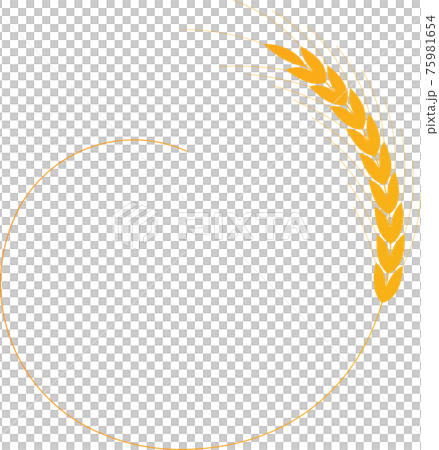 Rounded golden wheat - Stock Illustration [75981654] - PIXTA