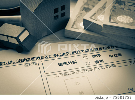 遺産分割調停　家事調停　相続　家庭裁判所　調停　審判　申立書 75981755