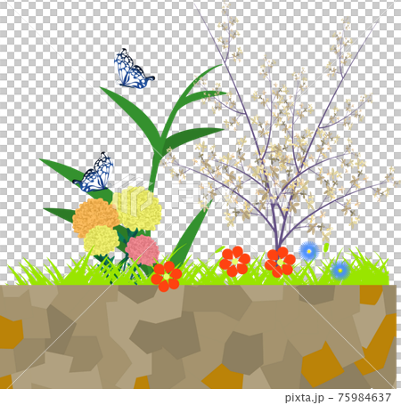 Fashionable flower bed 75984637