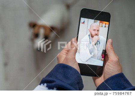 The veterinarian advises the dog owner online on his mobile. A woman talking to a doctor in a video chat about a pet. Close-up of female hands with a smartphone. A male vet treats a puppy. The veterinarian advises the dog owner online on his mobile. A woman talking to a doctor in a video chat about a pet. Close-up of female hands with a smartphone. A male vet treats a puppy. 75984767