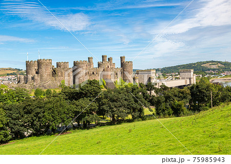 Conwy Castle in Wales 75985943