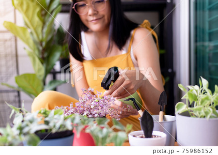 Happy asian woman spraying beautiful flower in pot at garden home Happy asian woman spraying beautiful flower in pot at garden home 75986152