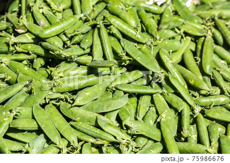 Background of peas 75986676