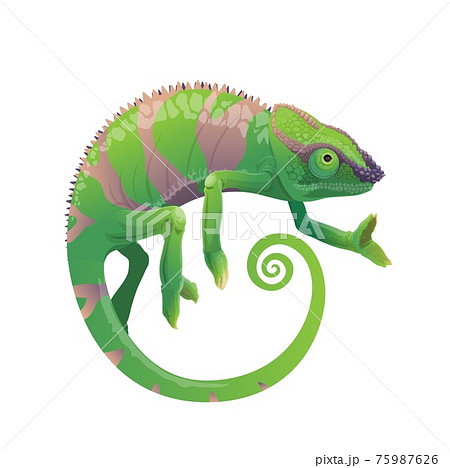 Chameleon Vector Icon Cartoon Green Lizard Petのイラスト素材