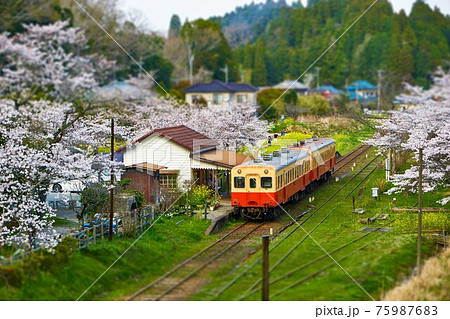 桜咲く春の月崎駅　ジオラマ風　小湊鉄道 75987683