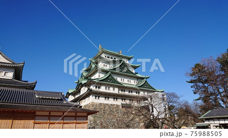 美しき名古屋城 観光名所 75988505