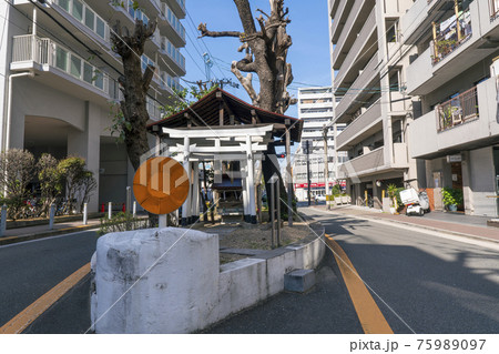 楠木大神 【大阪市 谷町7丁目交差点東側】 楠木大神 【大阪市 谷町7丁目交差点東側】 75989097