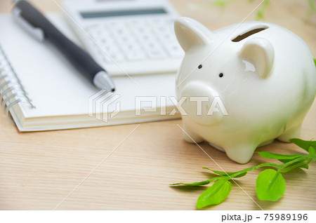 豚の貯金箱とお金 投資イメージ 75989196