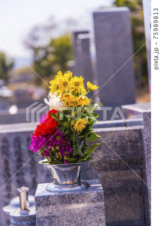 彼岸の墓地 75989813