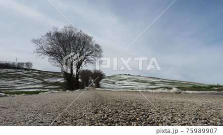 Snowy landscape Snowy landscape 75989907