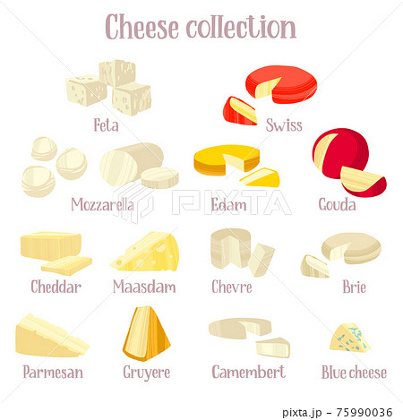 Cheese collection. Different kinds of delicious...のイラスト素材