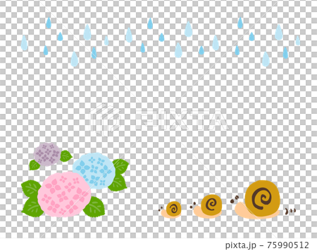 Cute hydrangea, rain and snail summer (rainy season) / handwritten illustration 75990512