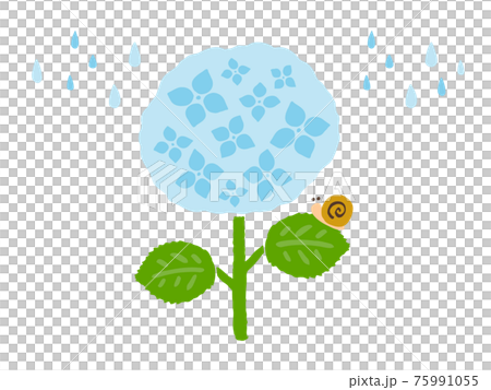 かわいい紫陽花と雨とカタツムリ アジサイ 夏 梅雨 手書きイラストのイラスト素材
