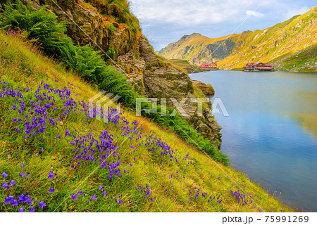 Beautiful volcanic Balea lake at high altitude, on Fagaras mountain, Romania 75991269