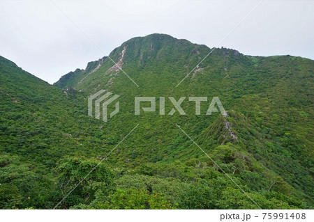 由布岳火口の稜線と西峰 由布岳火口の稜線と西峰 75991408