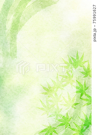 もみじ　新緑　暑中見舞い　背景 75991627