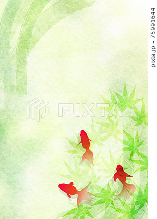 金魚　暑中見舞い　もみじ　背景 75991644