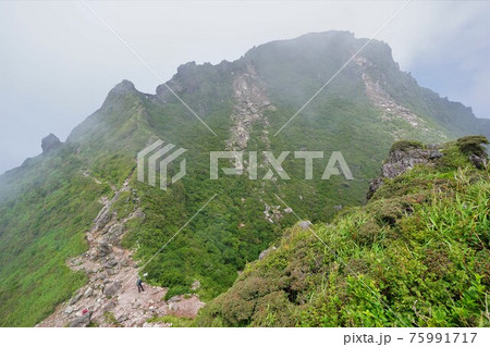 由布岳東峰からの西峰 由布岳東峰からの西峰 75991717