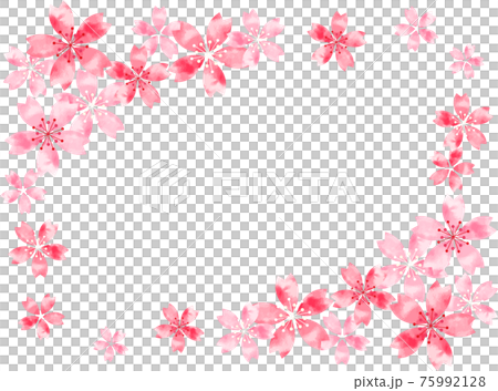 Watercolor style cherry blossom frame side Watercolor style cherry blossom frame side 75992128