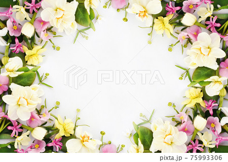Blossoming daffodils and spring flowers on light background, pastel and soft springtime floral card Blossoming daffodils and spring flowers on light background, pastel and soft springtime floral card 75993306