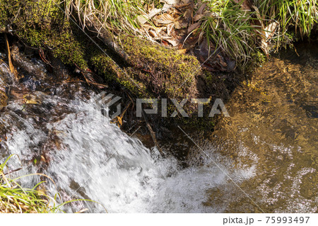 雪解け水が流れる山間部の小川 宮城県白石市 雪解け水が流れる山間部の小川 宮城県白石市 75993497