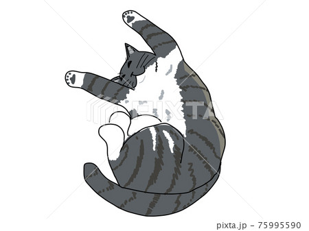 リラックスして寝る猫 75995590