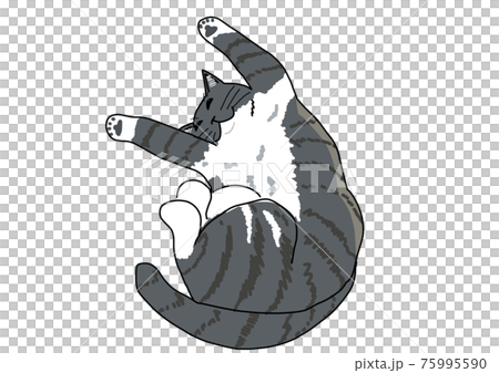 リラックスして寝る猫 75995590